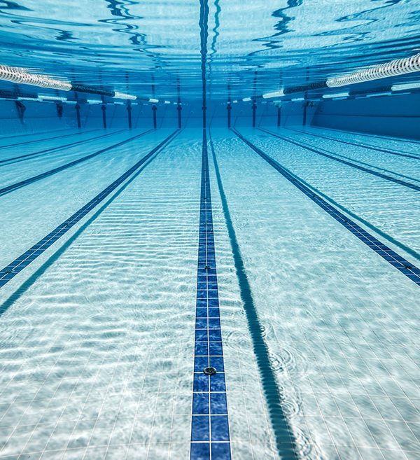 Actualités de la section natation