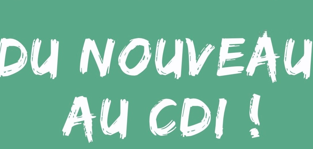 La liste des nouveaux livres arrivés au CDI en novembre